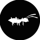Azimuth Film Company