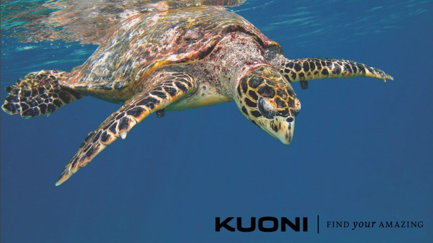 Progress Film Company Kuoni treatment pitch Genero