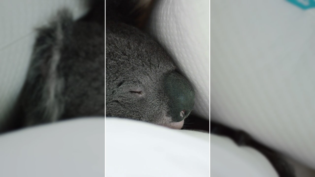 how-to vertical content wide framing Instagram