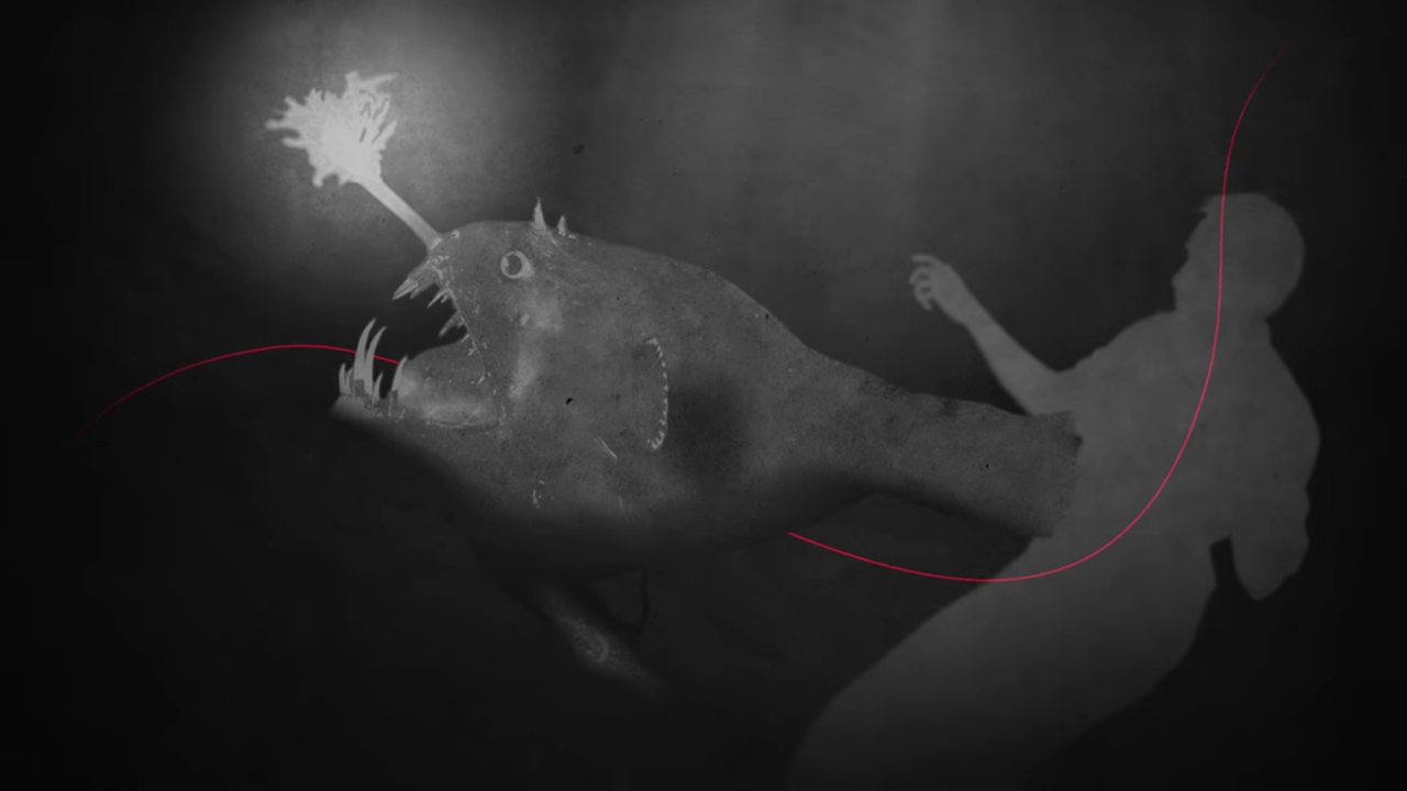 Audience Killers Patterns music video Genero